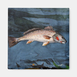 Íman Homer - Channel Bass, Flórida,