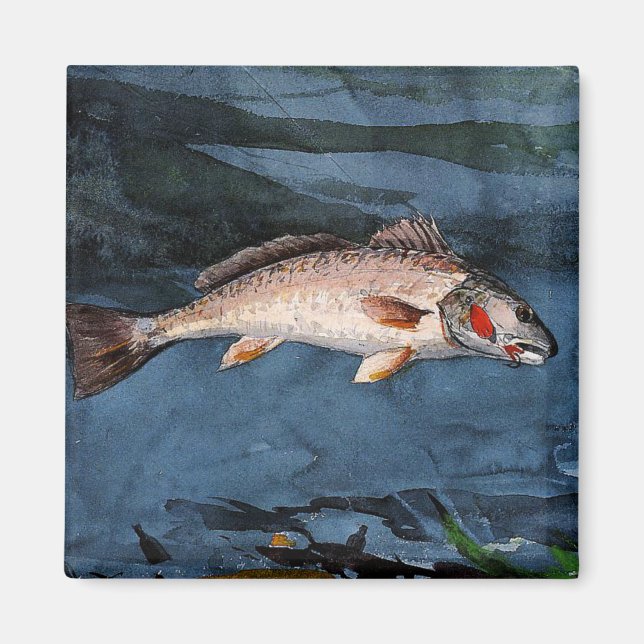 Íman Homer - Channel Bass, Flórida, (Frente)