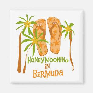 Íman Honeymooning no ímã de Bermuda