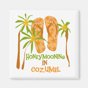 Íman Honeymooning no ímã de Cozumel