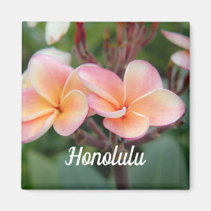 Íman Honolulu Plumeria Magnet