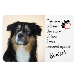 Íman Honrar Seu Cão De Salvamento