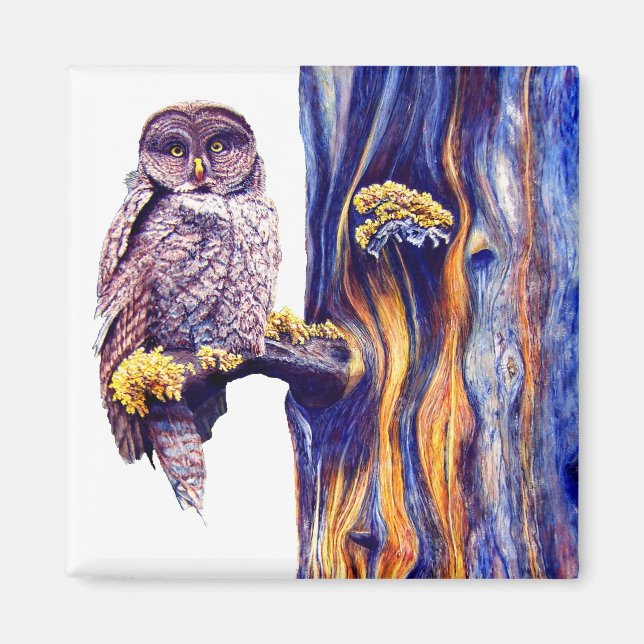 Íman Hoo's look'n Magnet (Frente)