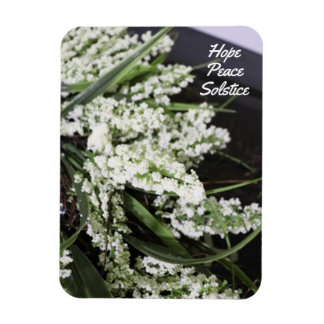 Íman Hope Peace Solstice Magnet