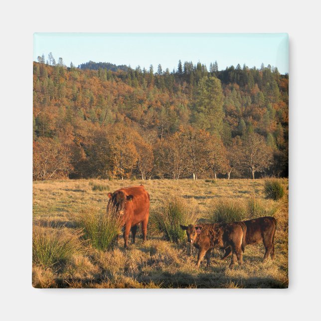 Íman Hora da Família....... (Frente)