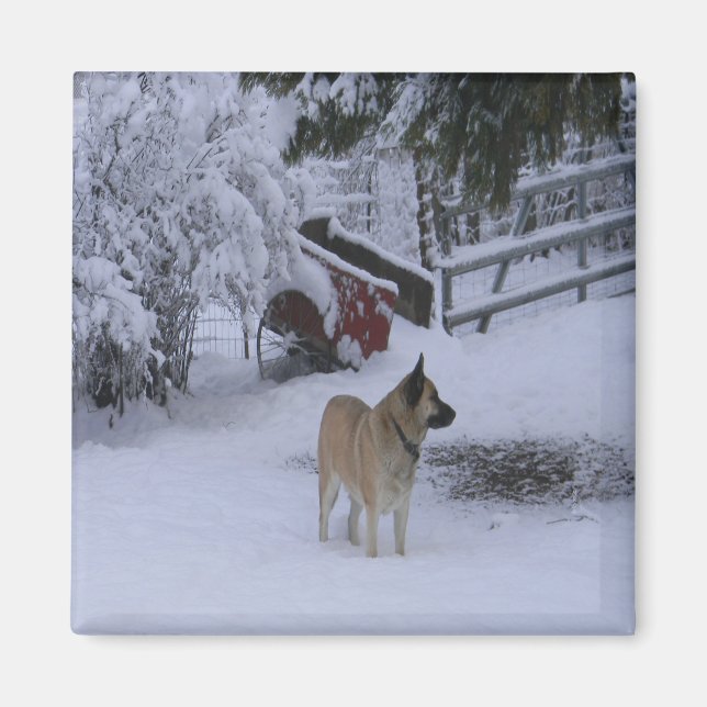 Íman Hora de inverno..... (Frente)