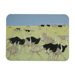 Íman Hora de ponta 2