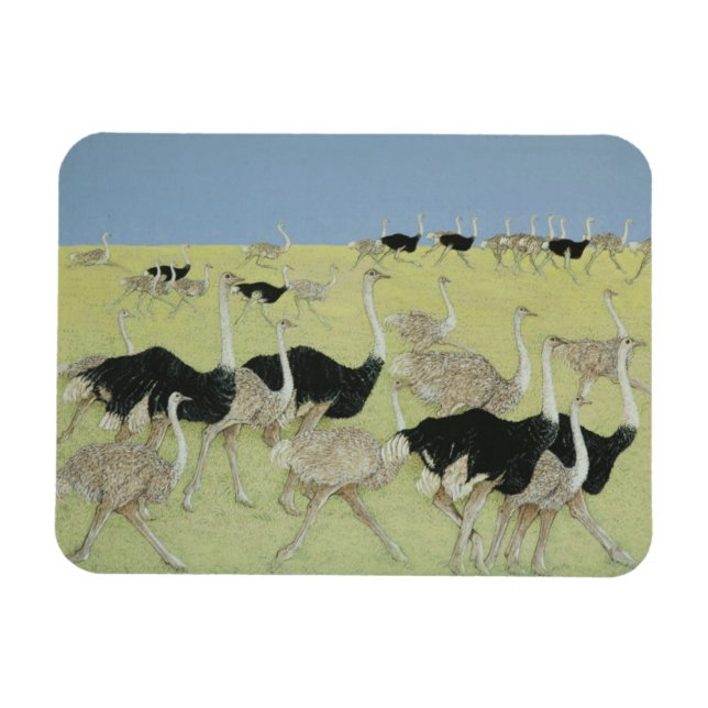 Íman Hora de ponta 2 (Horizontal)