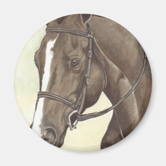 Íman HORSE Champion Apêndice QH Mare