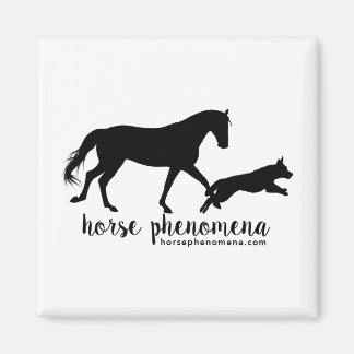 Íman Horse Phenomena Magnet