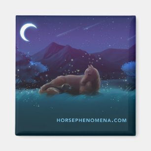Íman Horse Phenomena Night Magnet