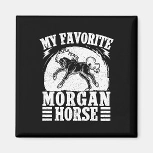 Íman Horseback Andando Favorito Cavalo Morgan Rider