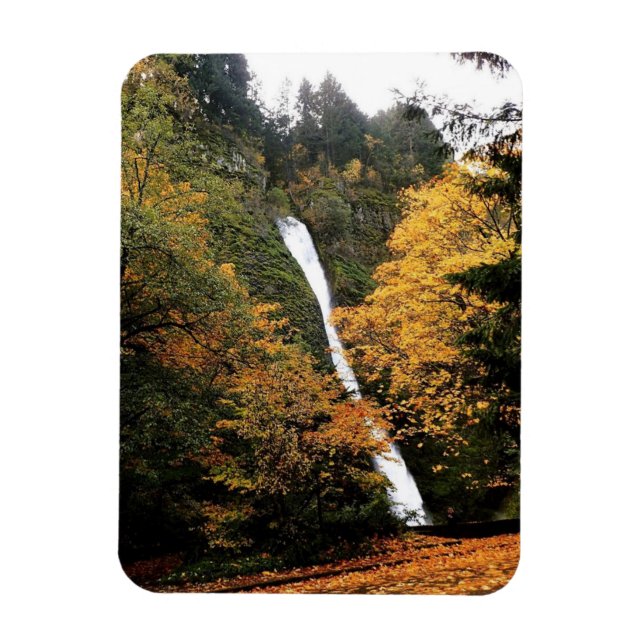 Íman Horsetail Falls, Oregon (Vertical)