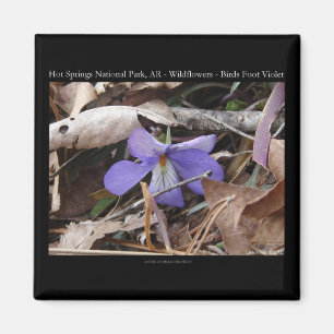 Íman Hot Springs National Park, AR Presentes Violetas S