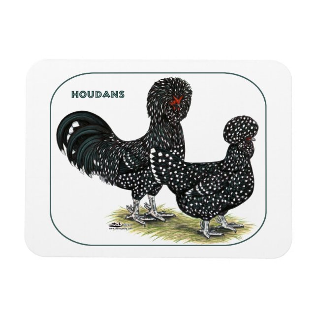 Íman Houdan Chickens (Horizontal)