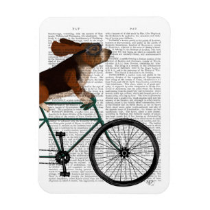 Íman Hound Basset na Bicicleta
