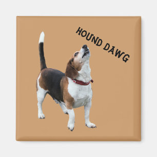 Íman Hound Dawg Beagle Engraçado Magnet