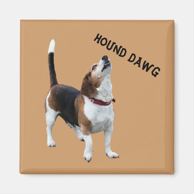 Íman Hound Dawg Beagle Engraçado Magnet (Frente)