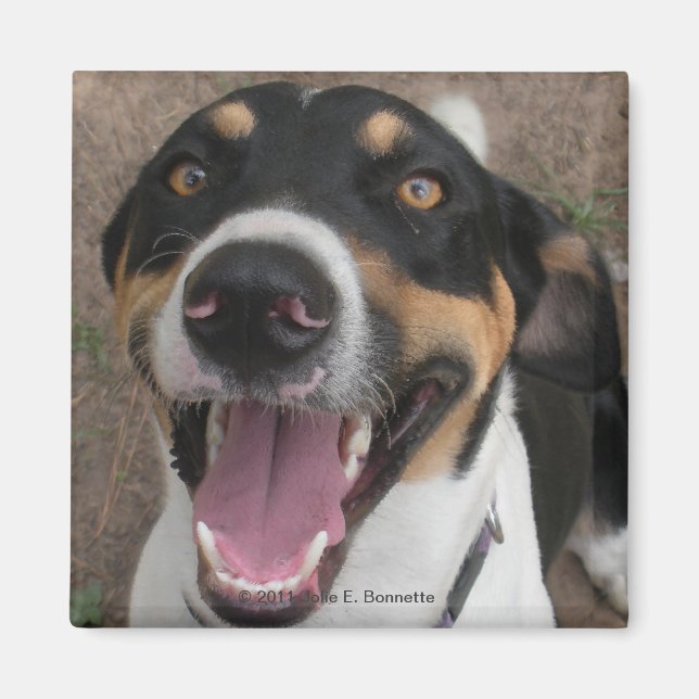 Íman Hound Dog Magnet (Frente)