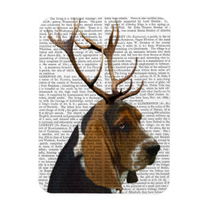 Íman Hound e Antlers Basset
