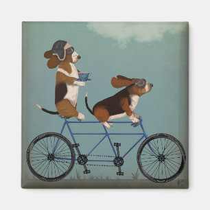 Íman Hound Tandem