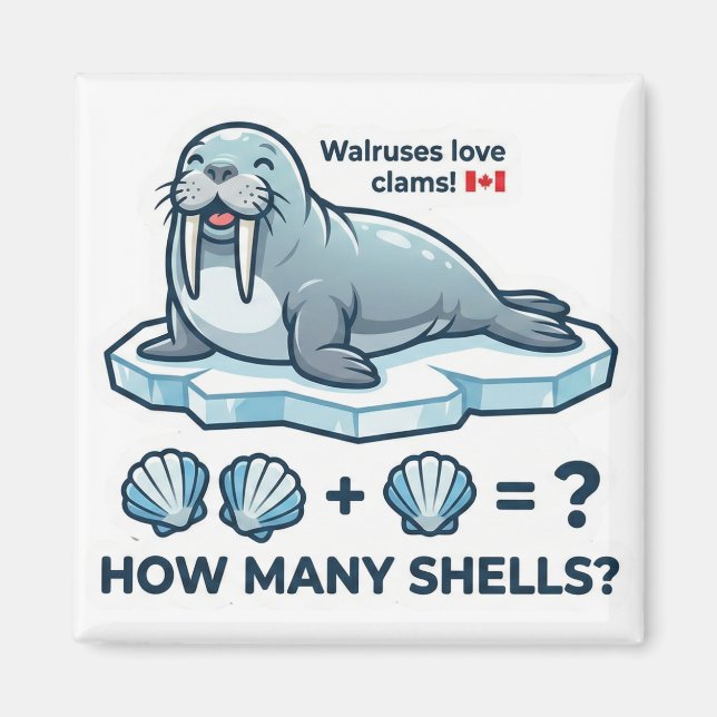 Íman How Many Shells? – Walrus Math Learning Magnet (Frente)