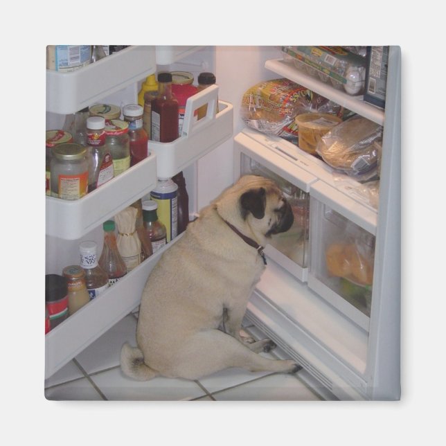 Íman Howie Pee Pugcalças (Frente)