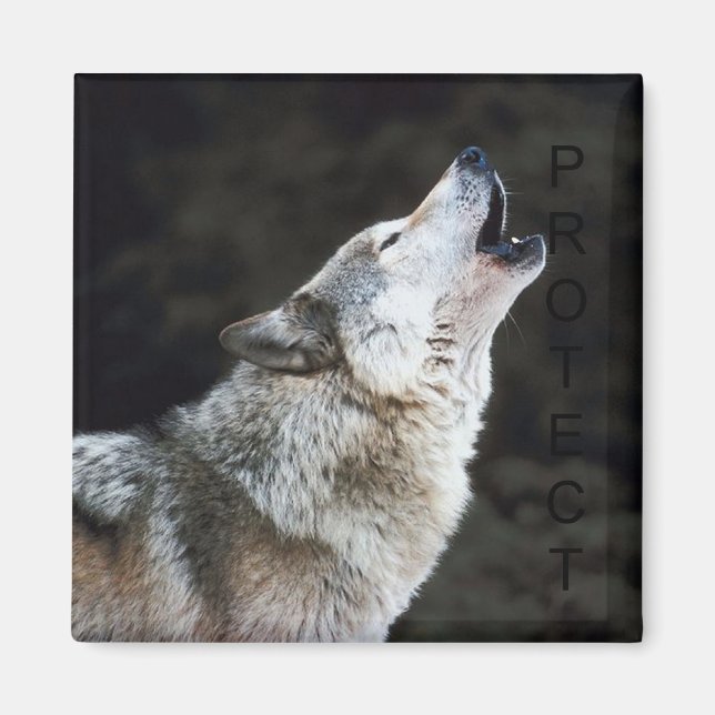 Íman Howling Wolf (Frente)