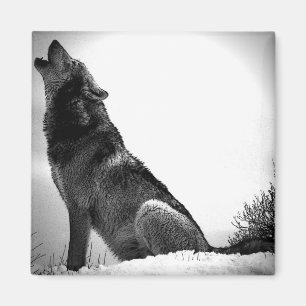 Íman Howling Wolf in Snow