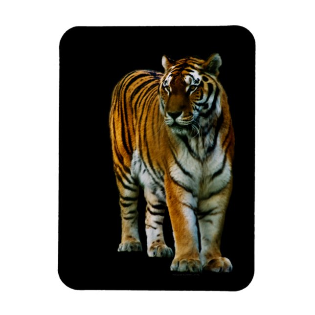 Íman Hu Lin Premium Magnet (Vertical)