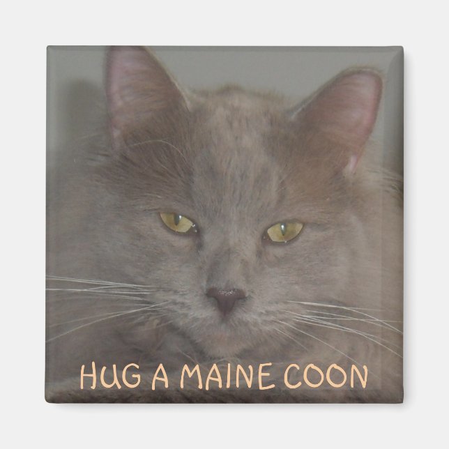 ÍMAN HUG A MAINE COON (Frente)