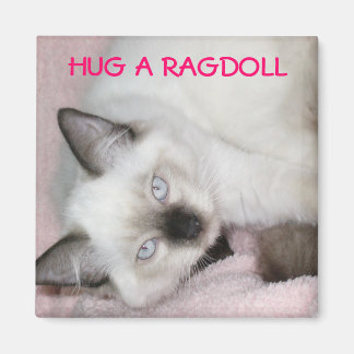 ÍMAN HUG A RAGDOLL