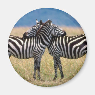 Íman Hugging Zebras Magnet