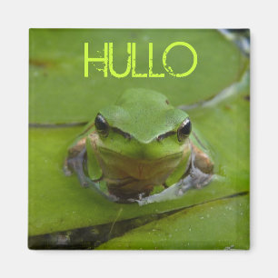 ÍMAN HULLO