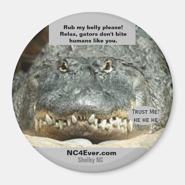 Íman Humanos como você Frigeradora Magnet (Frente)