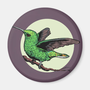 Íman Hummingbird
