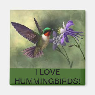 Íman Hummingbird alimentando-se com um ímã de flores