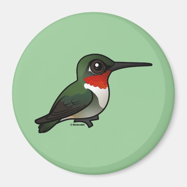Íman Hummingbird com garganta (Frente)