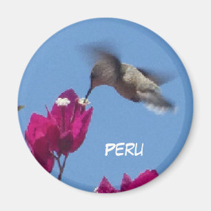 Íman Hummingbird do Peru Magnet
