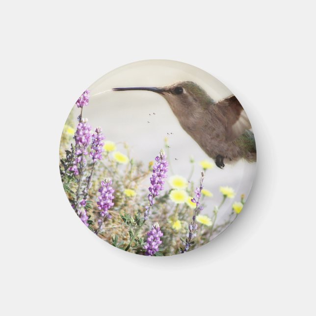 Íman Hummingbird e flores silvestres Arte digital (Frente)