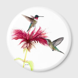 Íman Hummingbird Floral Watercolor