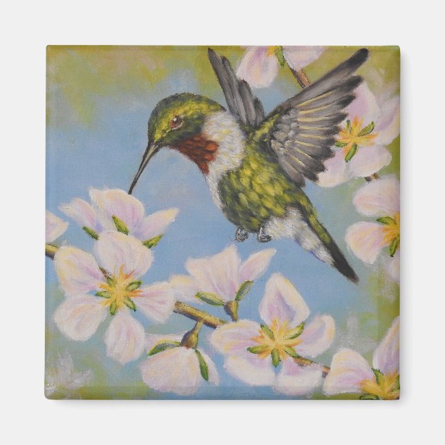 Íman Hummingbird Trocado - Magneta Quadrada (Frente)