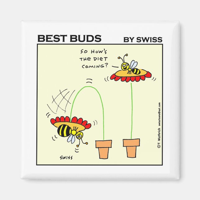 Íman Humor de dieta dos desenhos animados gordos (Frente)