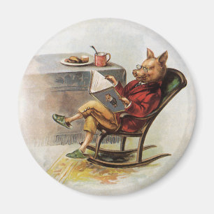 Íman Humor do vintage, porco na cadeira de balanço que