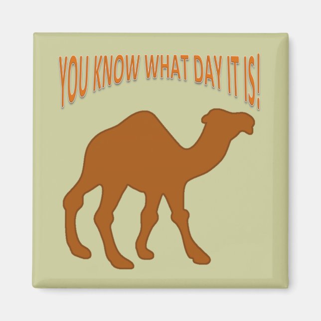ÍMAN HUMPDAY! CAMEL HUMP DAY SABE QUE DIA É (Frente)