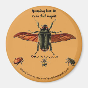 Íman "Humphrey sabia que ele era um pintinho de ímã"