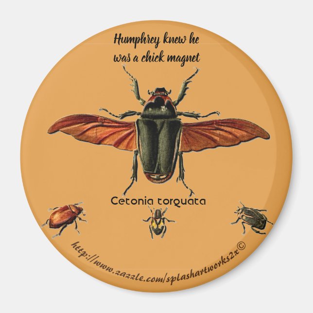 Íman "Humphrey sabia que ele era um pintinho de ímã" (Frente)