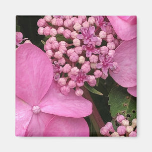 Íman Hydrangea de Verão sem Fios, Cinzas, Rosa-n-Brilha