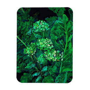 Íman Hydrangea e Horseradish Floral Art Black & Green