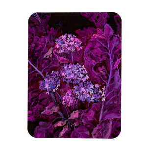 Íman Hydrangea Flowers Horseradish Floral Art Purple